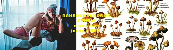 метадон Михайлов