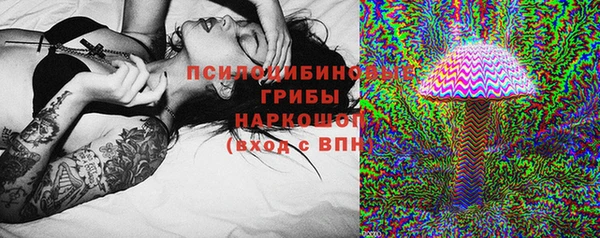 метадон Михайлов
