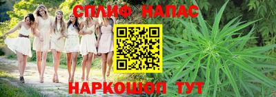 прущие грибы Ливны