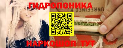 гидра Лесосибирск