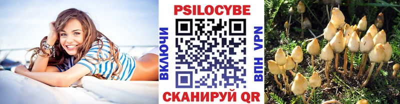 кракен ссылки  Славгород  Псилоцибиновые грибы Cubensis 