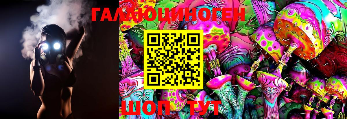 Псилоцибиновые грибы Cubensis Славгород
