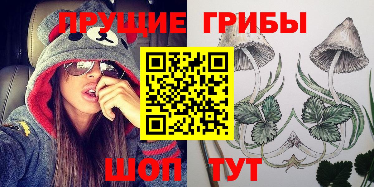 Славгород  Псилоцибиновые грибы Magic Shrooms  Вход с VPN 